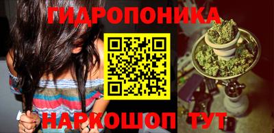 ешки Обнинск