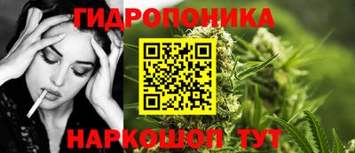 ешки Обнинск