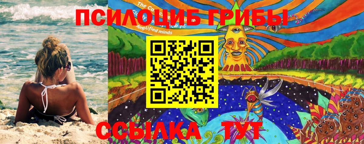 Галлюциногенные грибы MAGIC MUSHROOMS  Псилоцибиновые грибы прущие грибы  Барабинск  Вход с VPN 